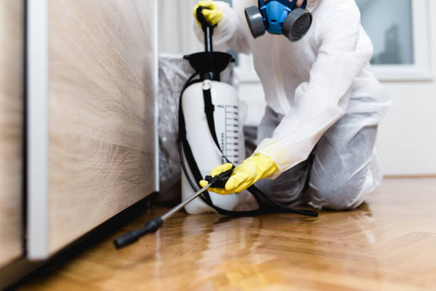 Best Best Pest Control Companies  in Stigler, OK