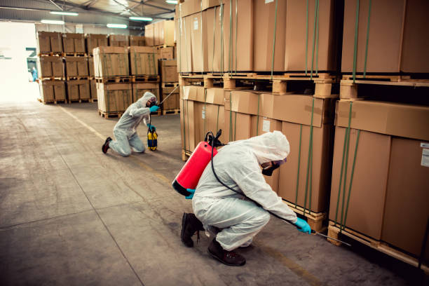 Best Cockroach Control Services  in Stigler, OK