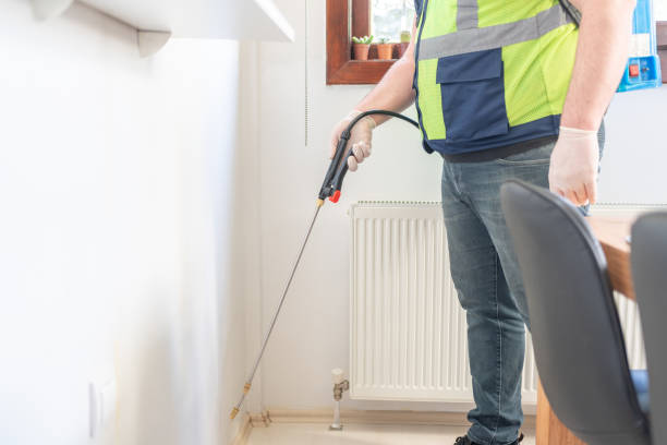 Best Wasp Removal Services  in Stigler, OK