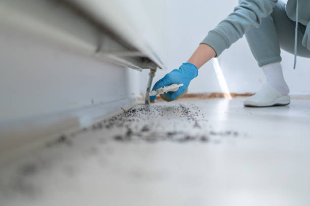 Best Emergency Pest Control  in Stigler, OK