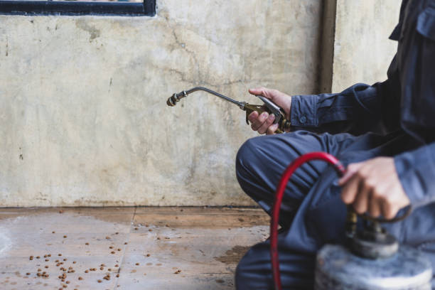 Best Pest Removal Services  in Stigler, OK